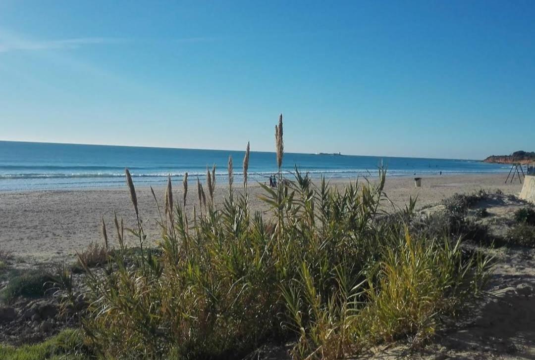 דירות צ'יקלנה דה לה פרונטרה Apartamento Novo ,Chiclana מראה חיצוני תמונה